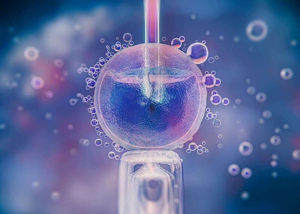ICSI fertility treatment laboratory procedure