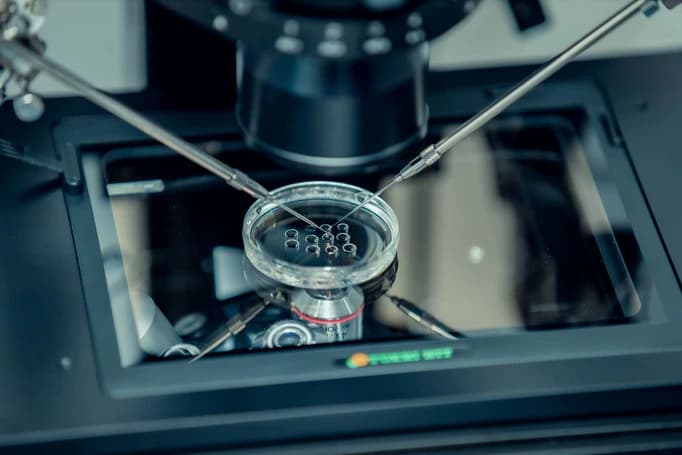 Embryo micromanipulation being performed under the microscope