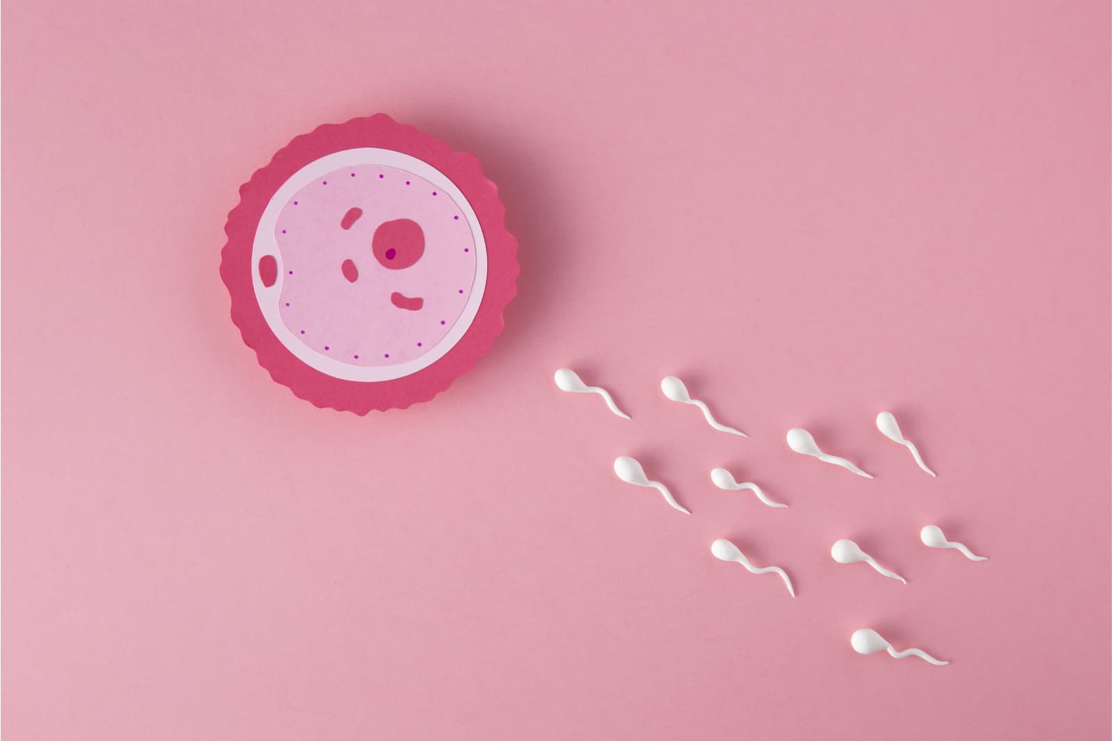 What is Sperm Donation?